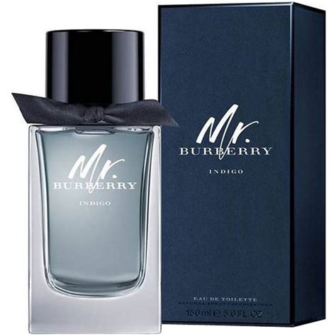 mr burberry indigo scent|mr burberry indigo 100ml.